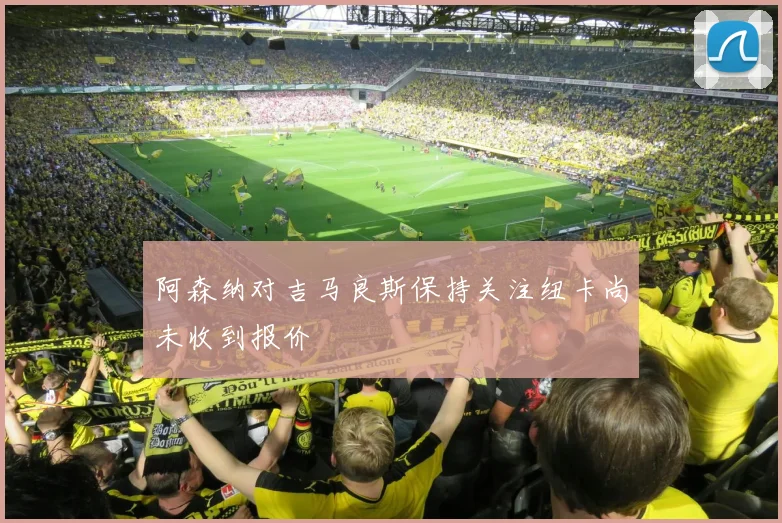 阿森纳对吉马良斯保持关注纽卡尚未收到报价